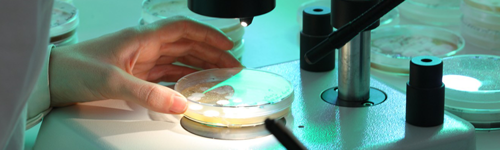 Animal. Research and development.